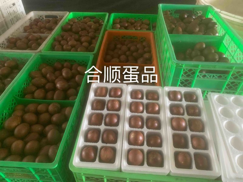 咸鸭蛋中秋礼品优选特大烤鸭蛋品种纯正假一赔十