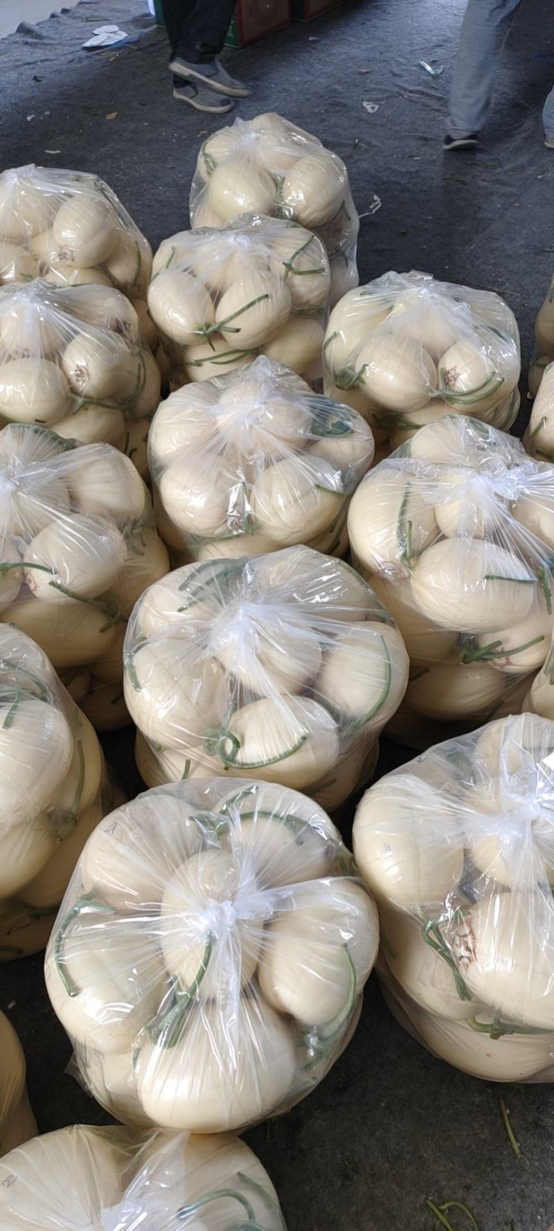 头茬东方蜜甜瓜，高糖度货大量上市，东方蜜甜瓜