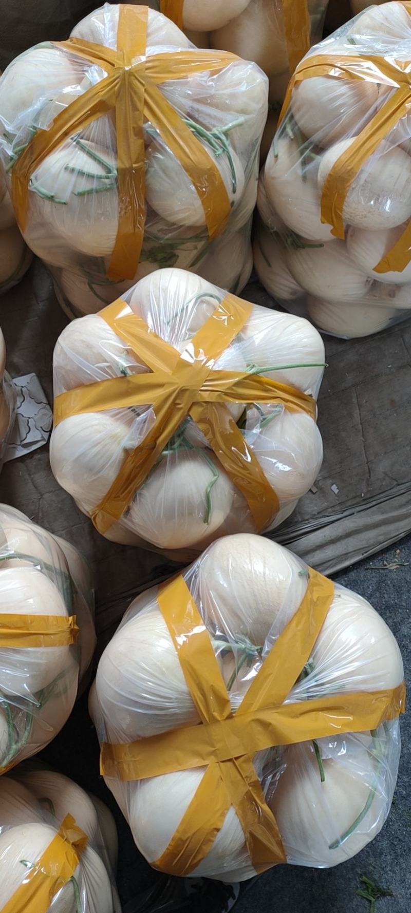 头茬东方蜜甜瓜，高糖度货大量上市，东方蜜甜瓜