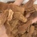 红参片无糖红参片货好量大可私聊优惠大量现货长期供应
