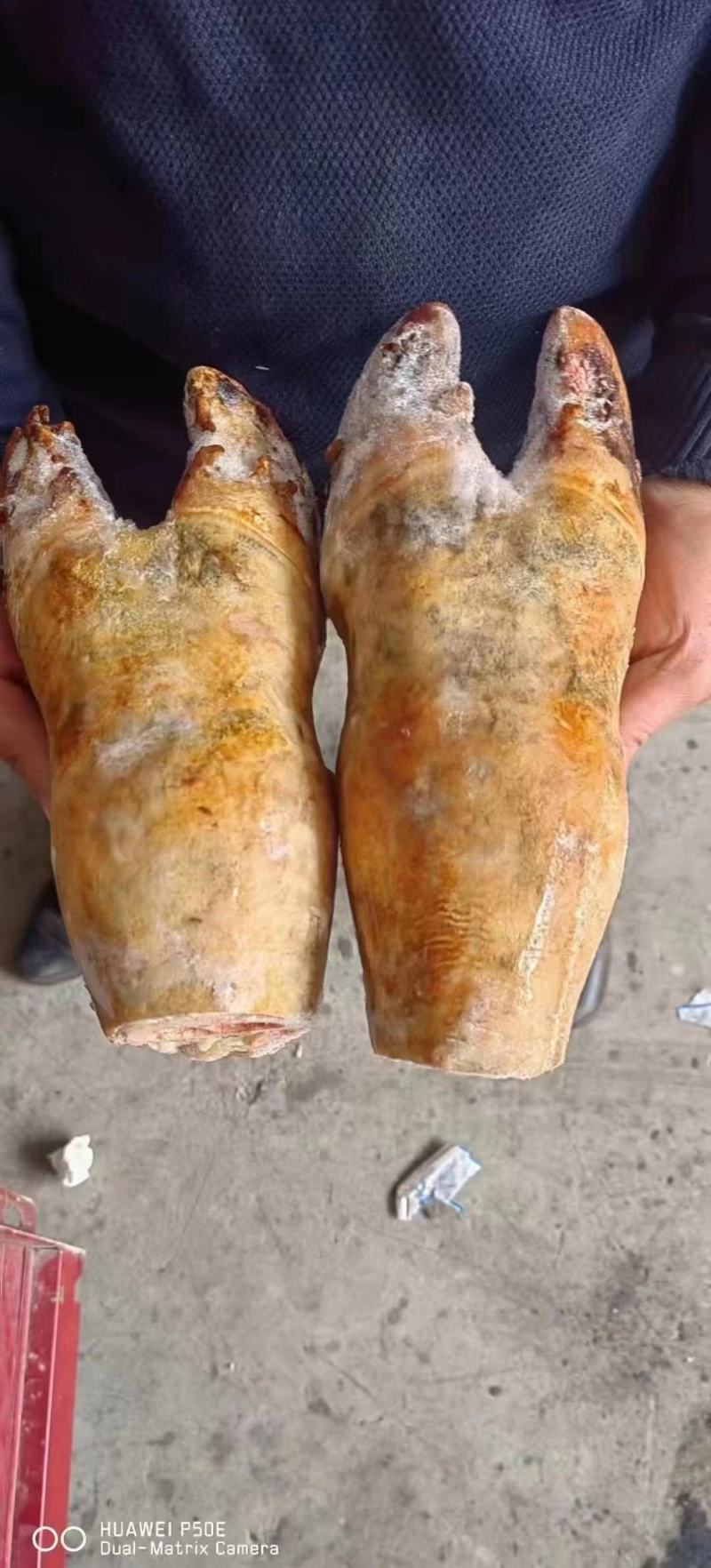 【火烧牛蹄】火烧牛蹄短蹄带筋四川直发厂家货源稳定电联