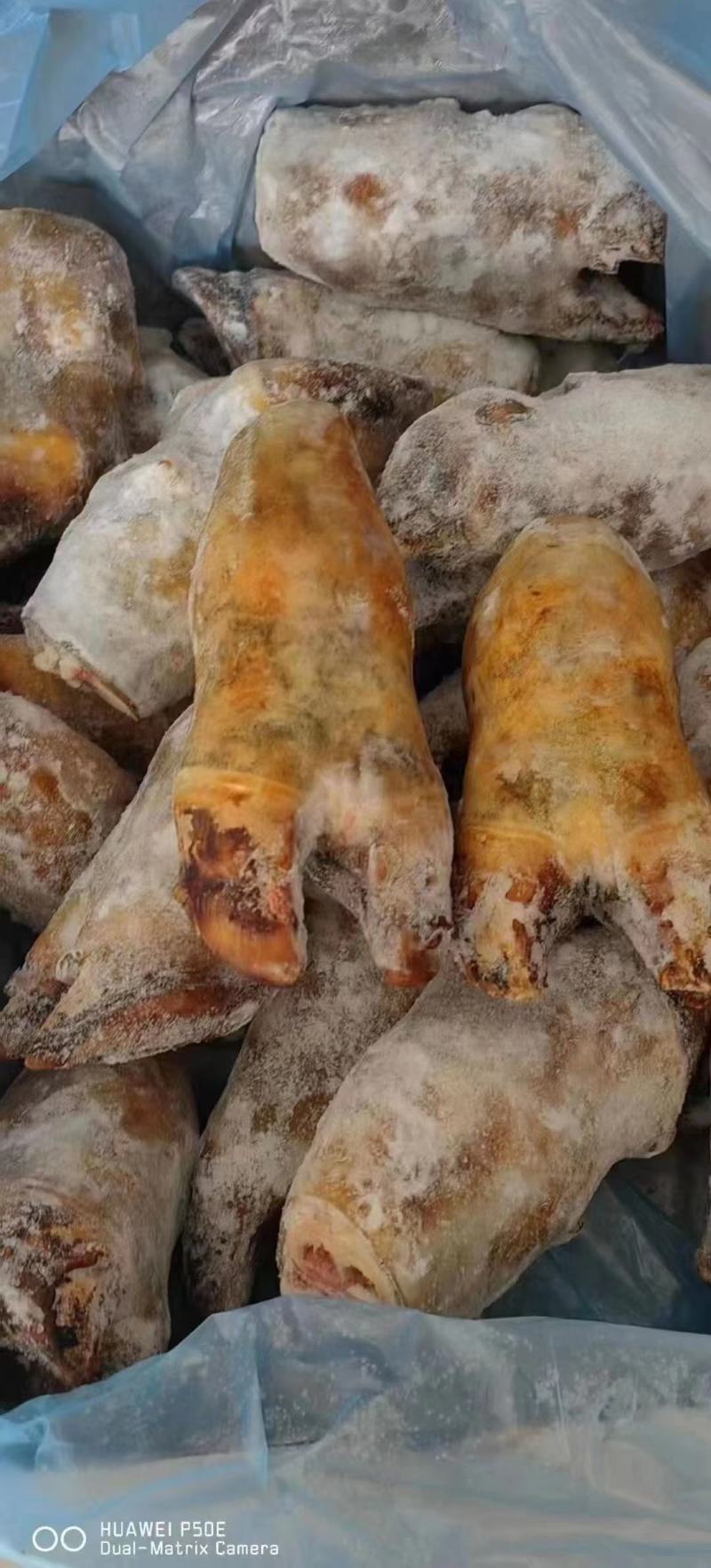 【火烧牛蹄】火烧牛蹄短蹄带筋四川直发厂家货源稳定电联