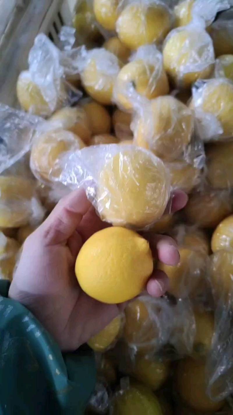 黄柠檬5斤黄柠檬尤力黄柠檬皮薄汁足新鲜无冻伤