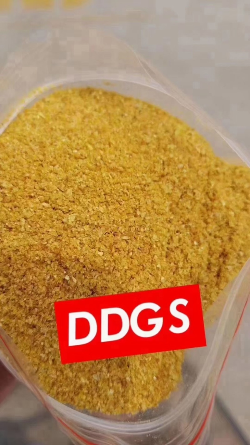 DDGS玉米酒糟