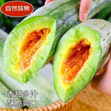 【现货】博洋羊角蜜甜瓜，基地现货脆甜可口，对接全国市场