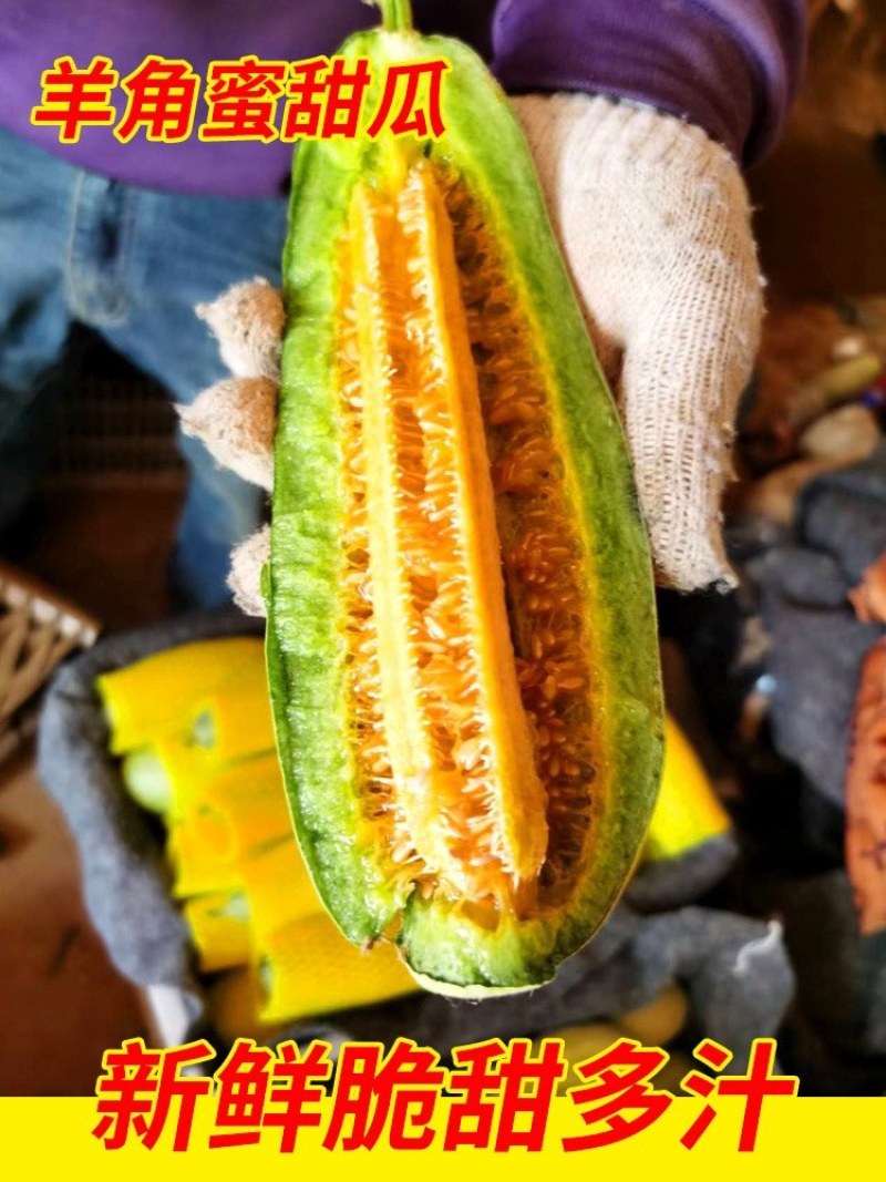 【现货】博洋羊角蜜甜瓜，基地现货脆甜可口，对接全国市场