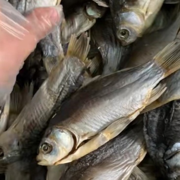 微山湖鲫鱼干