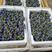徐州葡萄精品巨峰葡萄，产地直发，一手货源，颗粒大，不掉粒