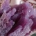 紫雪蜜薯花心薯高糖紫心薯高端蜜薯新品种