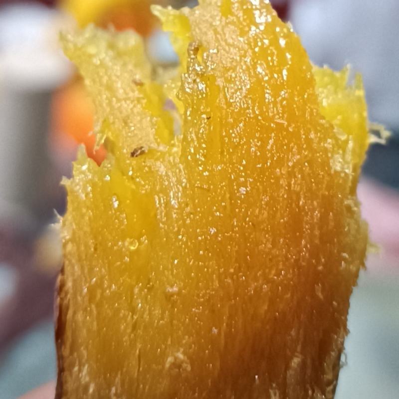 黄颜蜜薯新品种烤薯新品种