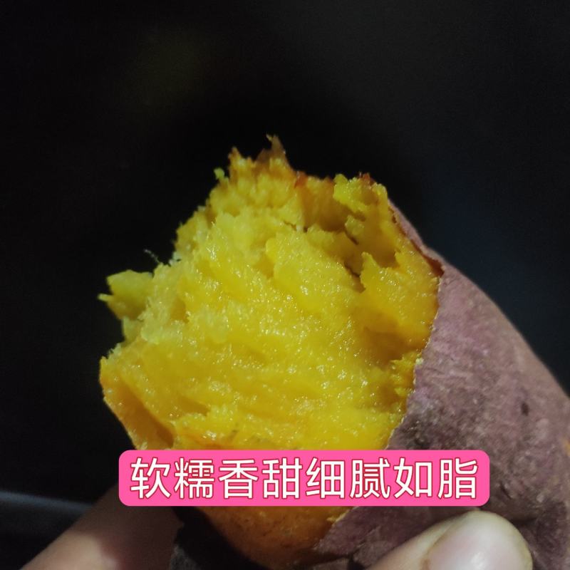 黄颜蜜薯新品种烤薯新品种