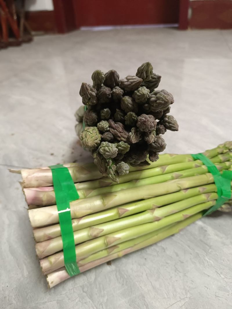 鲜芦笋出售，欢迎大家选购