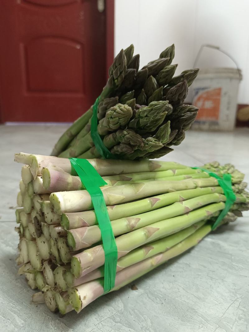 鲜芦笋出售，欢迎大家选购
