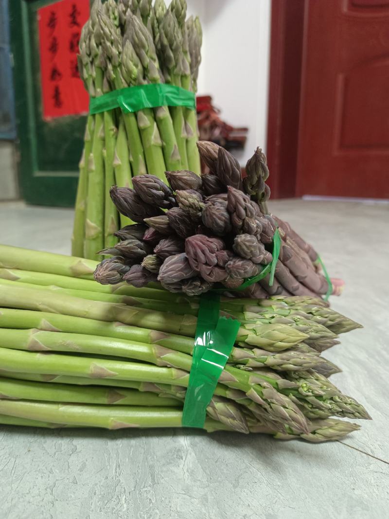 鲜芦笋出售，欢迎大家选购