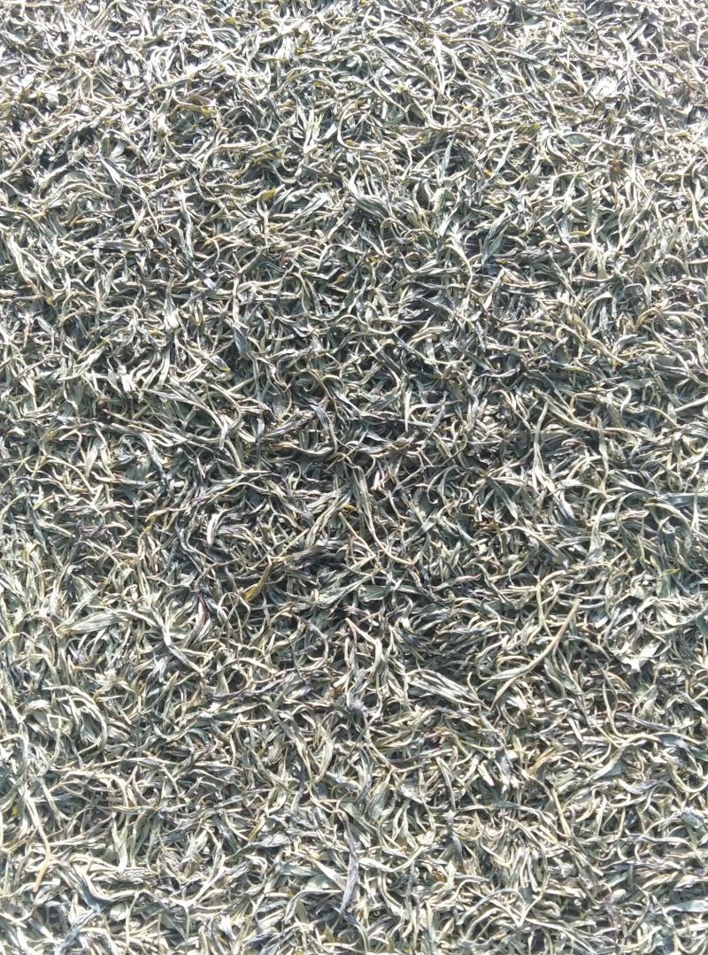 云南特产正宗生太茶
