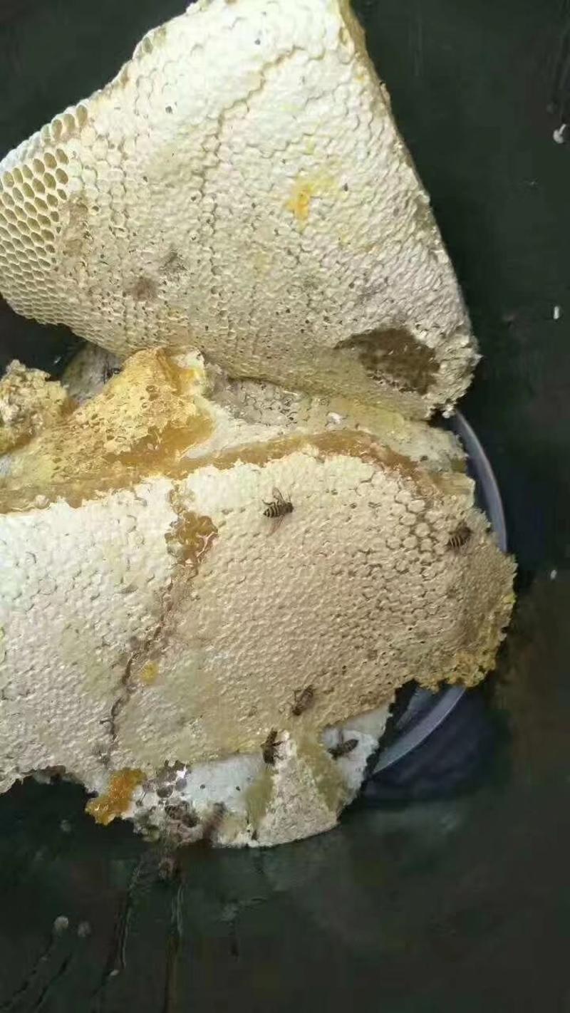 【推荐】云南蜂蜜质量保证大量上市中、欢迎来电咨询