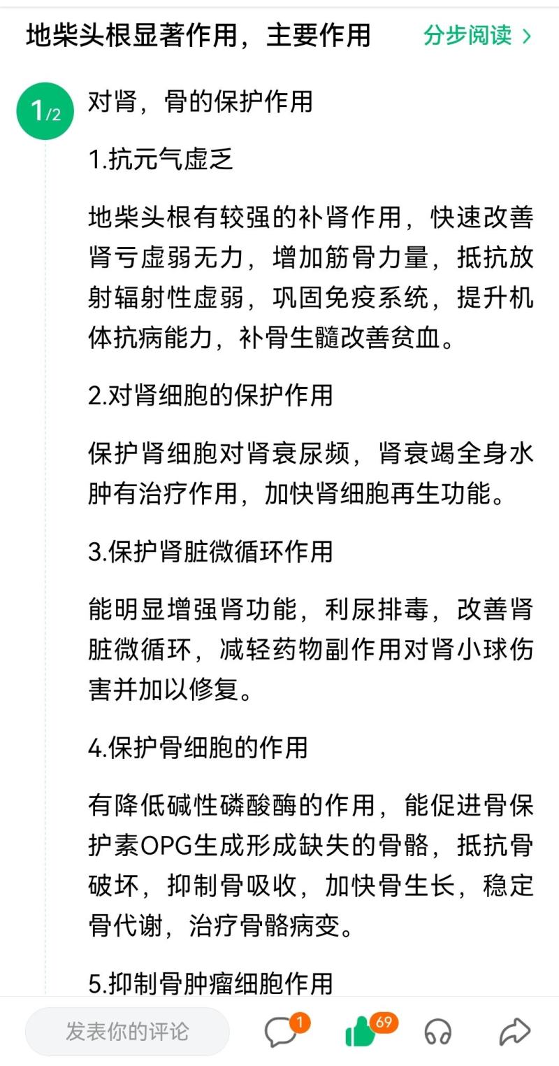 越南地柴头作用与功效，接骨木越南直邮