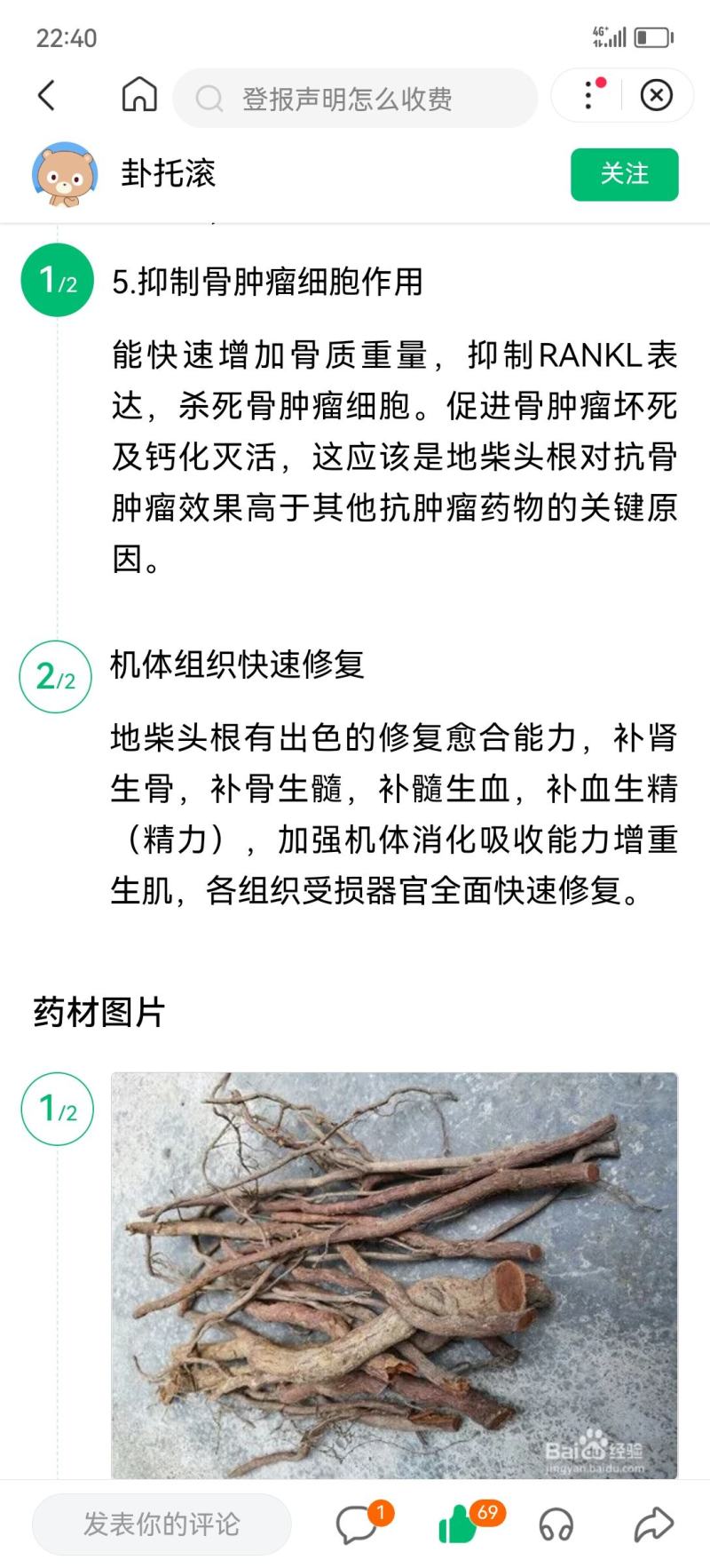越南地柴头作用与功效，接骨木越南直邮
