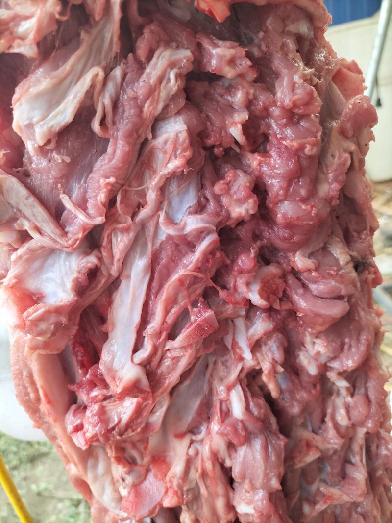 纯干乳牛肉，