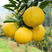 【荐】黄金柚子贡柚大量供应，产地直发，价格优惠，一手货源