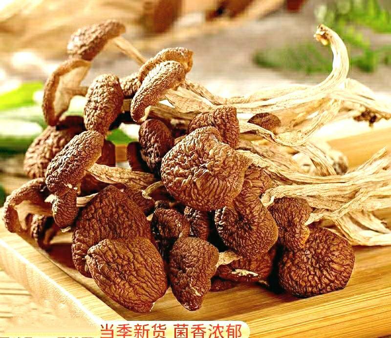 农家茶树菇菌香浓郁鲜香美味煲汤食材菌菇干货包邮