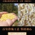 安徽太湖特色小吃豆粑正宗土特产手工制作
