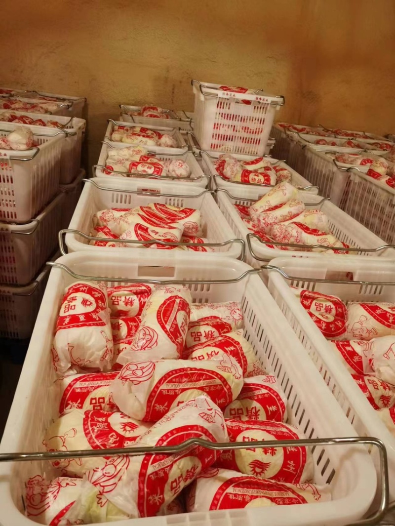 【精品大娃娃菜】大娃娃菜精品包装，大量供应欢迎咨询