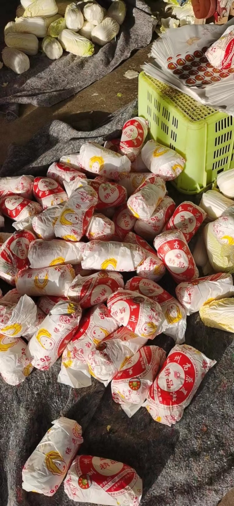 【精品大娃娃菜】大娃娃菜精品包装，大量供应欢迎咨询