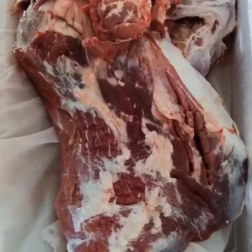 纯干牛前后腿肉