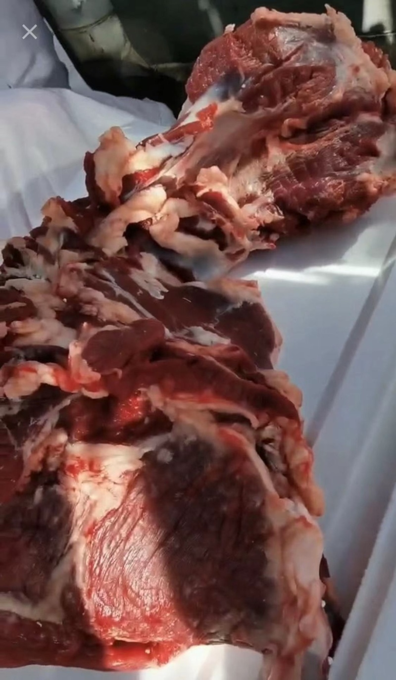 纯干牛前后腿肉