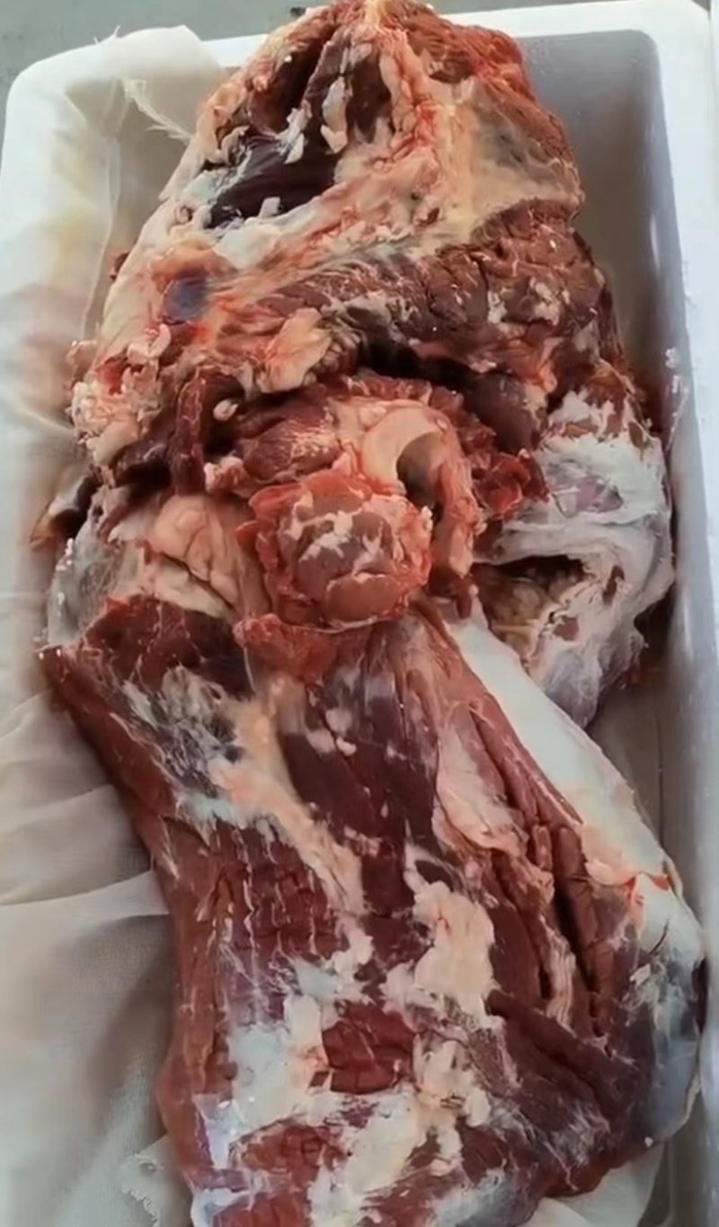 纯干牛前后腿肉