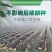 降解地膜新型纯生物淀粉基可按您规格生产源头厂家一手