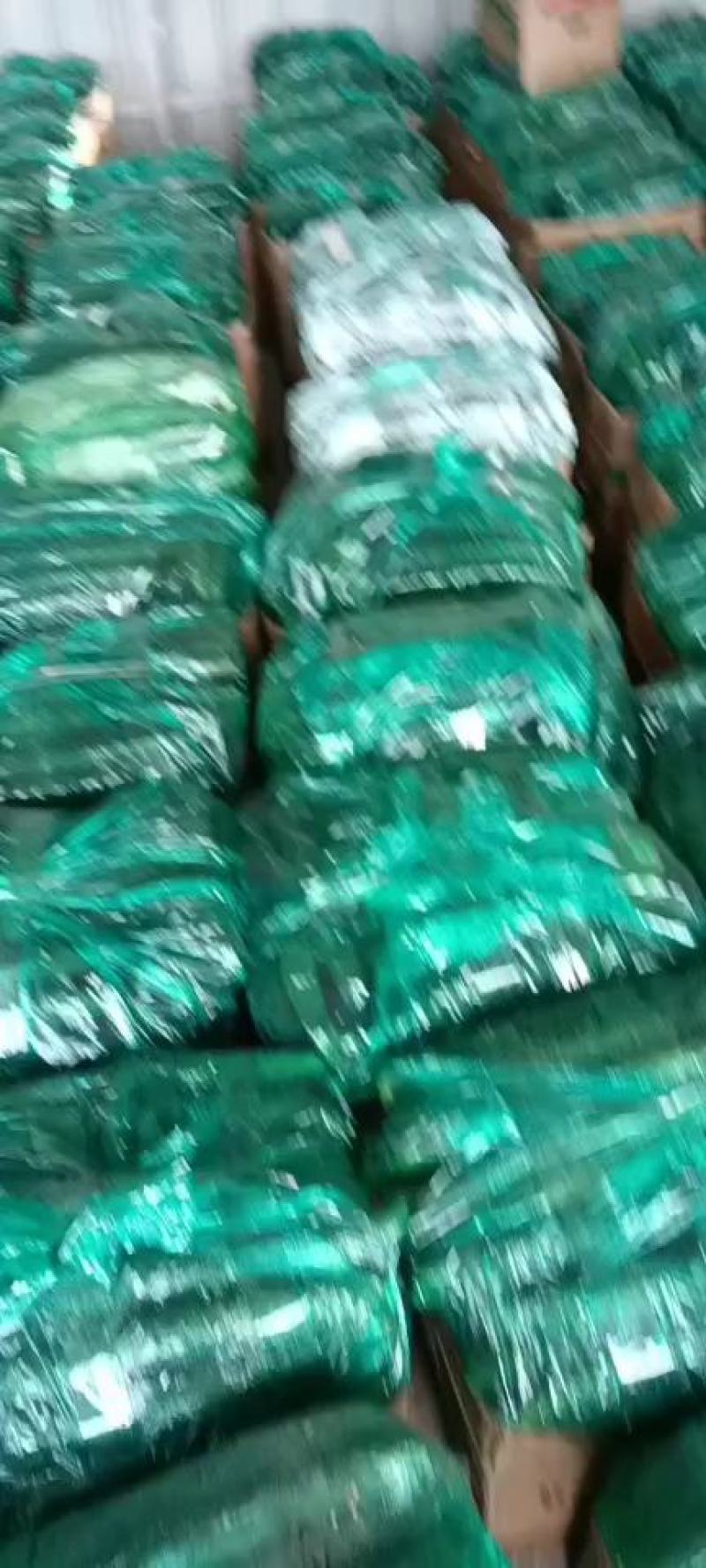 【实力推荐】天水武山密刺黄瓜大量上市，油黑发亮，条形直