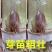 陶山甘蔗种子品种绿皮甘蔗青皮甘蔗芽孢2-4芽建设大田雪蔗