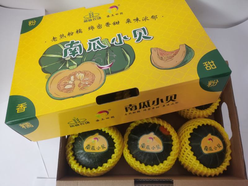 正宗贝贝南瓜全年供应