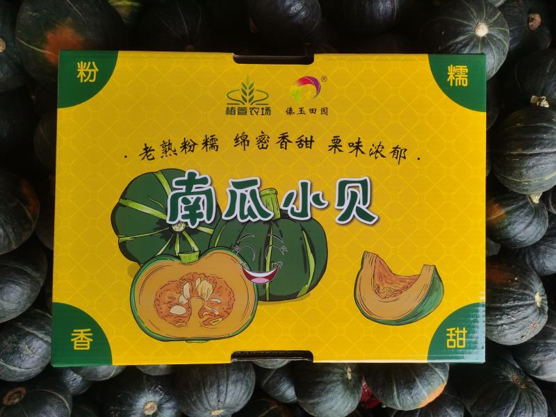 正宗贝贝南瓜全年供应