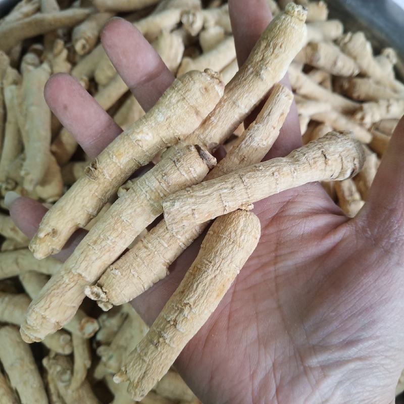 西洋参500克西洋参条花旗参片泡水煮汤山东西洋参批发