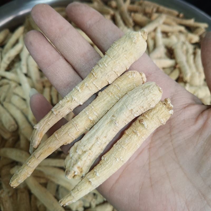 西洋参500克西洋参条花旗参片泡水煮汤山东西洋参批发