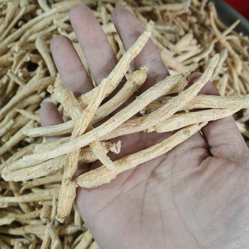 西洋参500克西洋参条花旗参片泡水煮汤山东西洋参批发