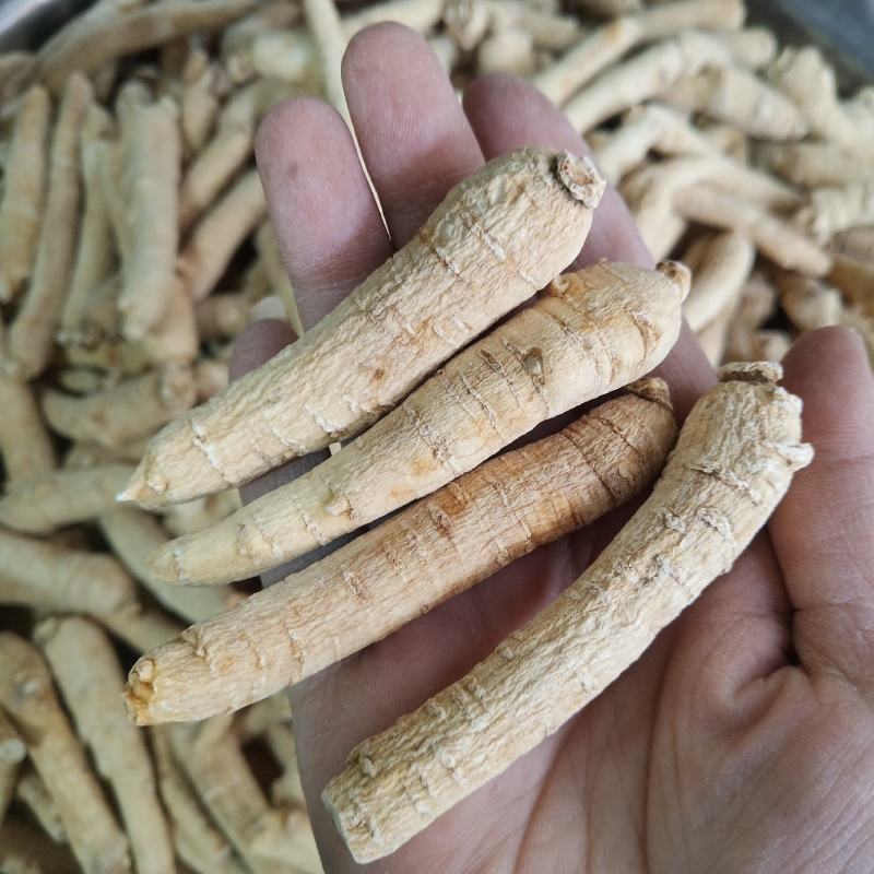 西洋参500克西洋参条花旗参片泡水煮汤山东西洋参批发