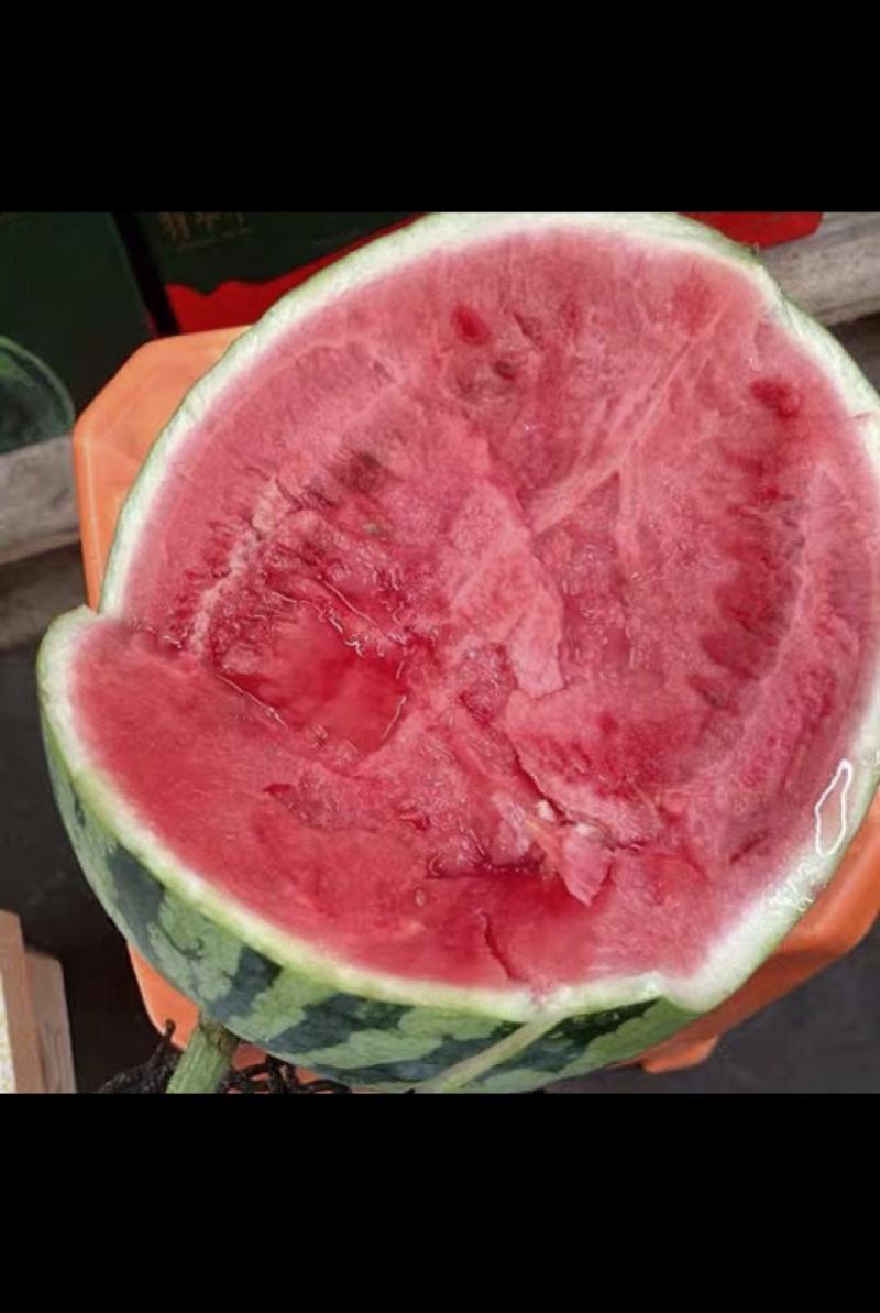 美都西瓜麒麟西瓜8424西瓜大量上市大吨位供应