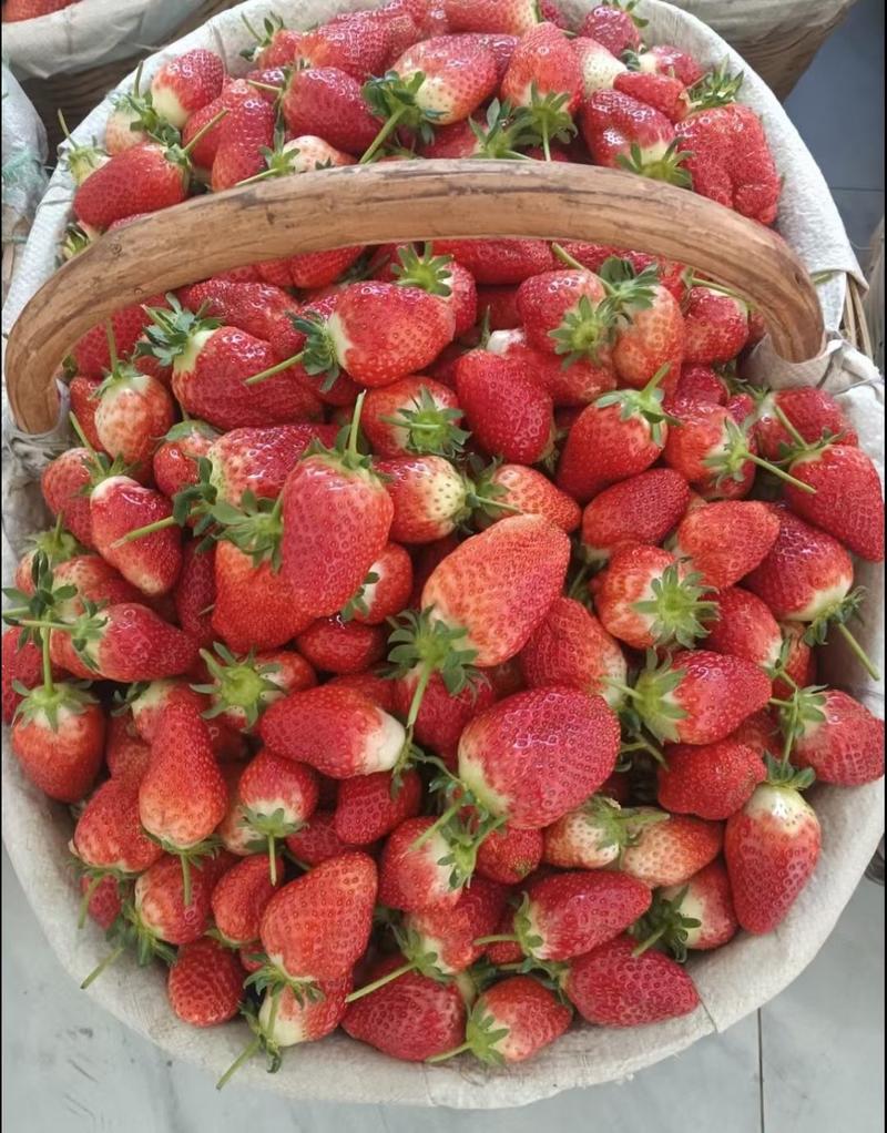 汉中草莓上市，意大利品种，时令新鲜。欢迎咨询前来采购。