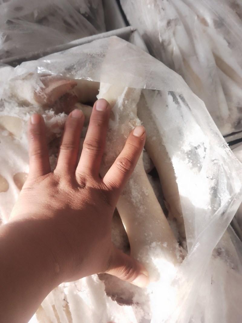 精品小牛蹄【一件代发】品质保证诚信经营始终如一欢迎联系