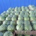 【西瓜】美都西瓜8424麒麟西瓜品质优良甘甜爽口大量供应