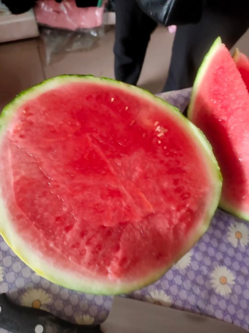 【西瓜】美都西瓜8424麒麟西瓜品质优良甘甜爽口大量供应