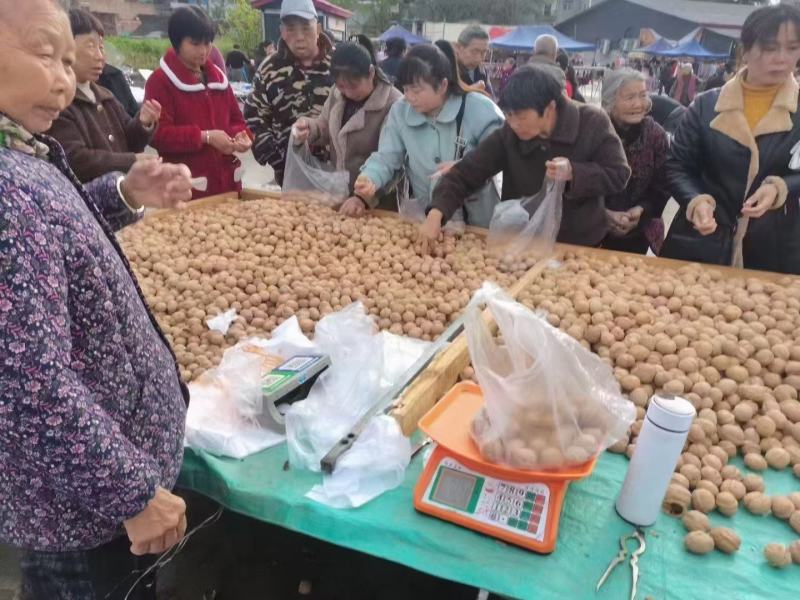 地摊江湖展会产品新疆薄皮核桃中果大量现货