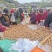 新疆薄皮核桃中果大果产地直销优质果一袋70斤
