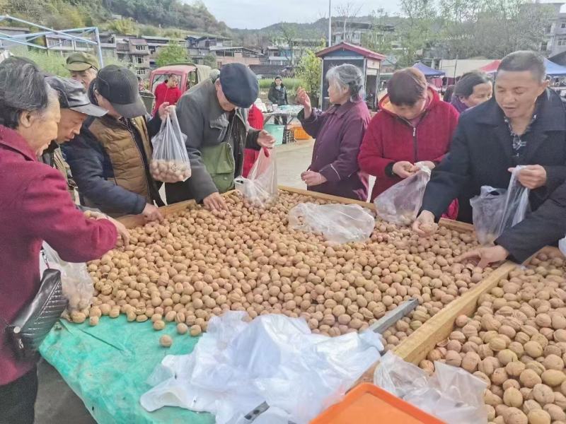 新疆薄皮核桃中果大果产地直销优质果一袋70斤