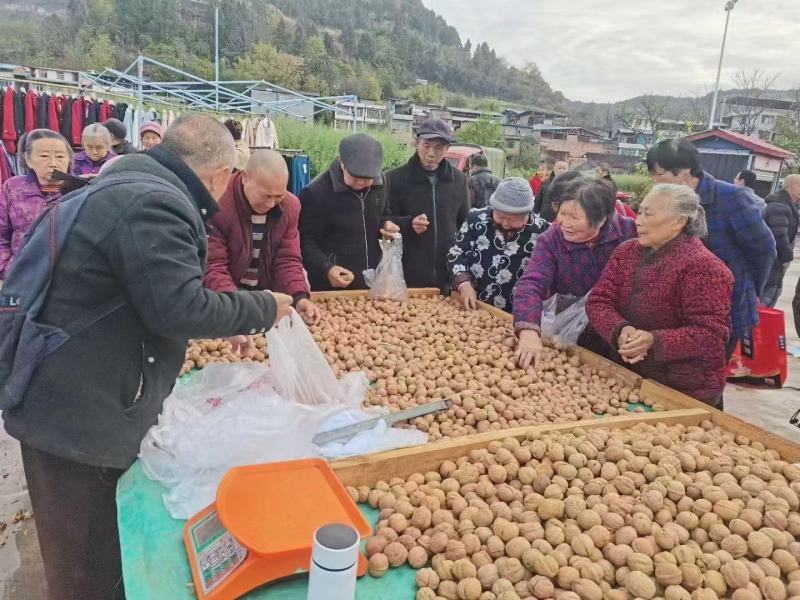 新疆薄皮核桃中果大果产地直销优质果一袋70斤