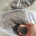 陶粒厂家源头直发，3~20规格硬质陶粒，回填用园艺用
